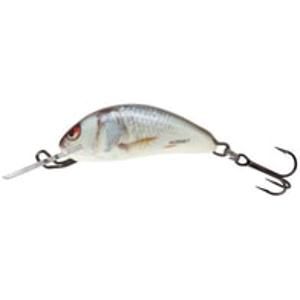 Salmo Wobler Hornet Sinking 2,5cm - Real Dace