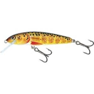 Salmo Wobler Minnow Floating 6cm - Trout 