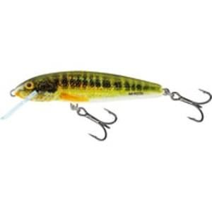 Salmo Wobler Minnow Floating 6cm - Holo Real Minnow 