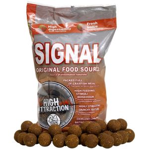 Starbaits Boilie Concept Signal
